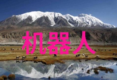北森职业能力测评解锁未来职场的潜能之旅