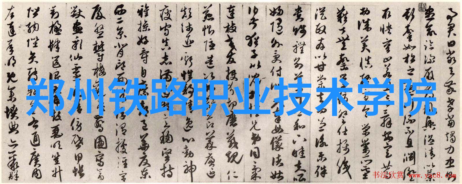 家庭清洁中的小技巧运用tds水质检测笔查漏补缺
