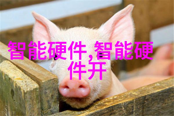 情况分析入门学会为决策者提供关键信息