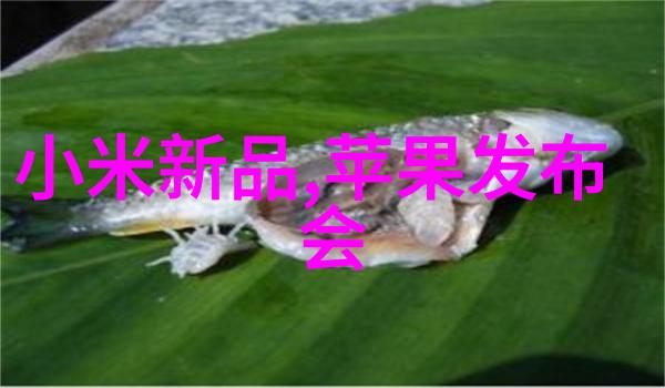 魅皇邪帝我的逆袭之路
