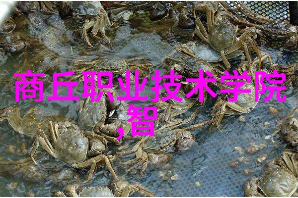 企业动态背后的驱动力是什么