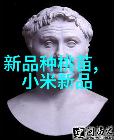 首席总裁背后的秘密爱情