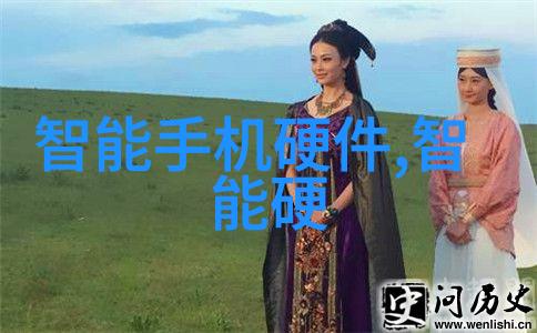 当前中国芯片产业的发展与挑战从技术突破到国际竞争力