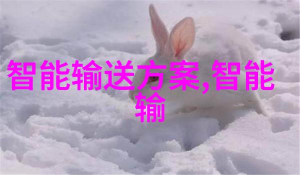 快速消毒灭菌器我的清洁小伙伴