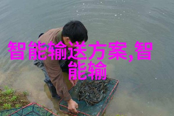 未来我们可能会看到怎样的大规模应用电蒸汽发生器技术呢