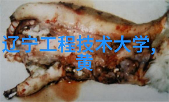 撰写高效完成报告的艺术与技巧