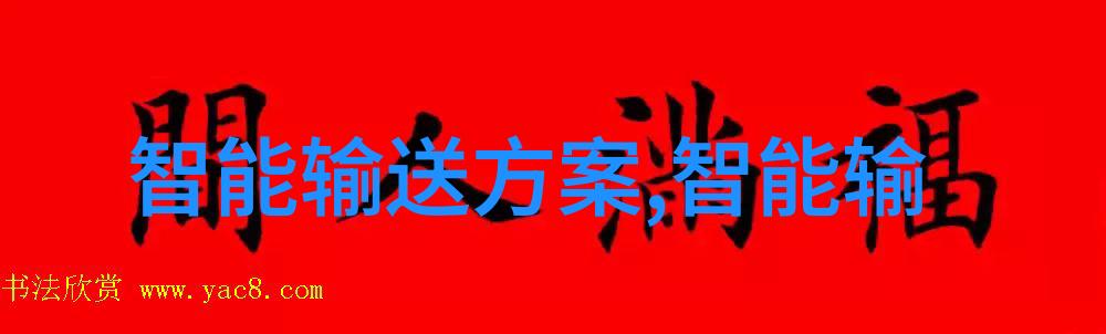 dn50金属环矩鞍填料hetp笑傲不锈的生活艺术