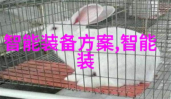 西方大师与人文艺术的交响
