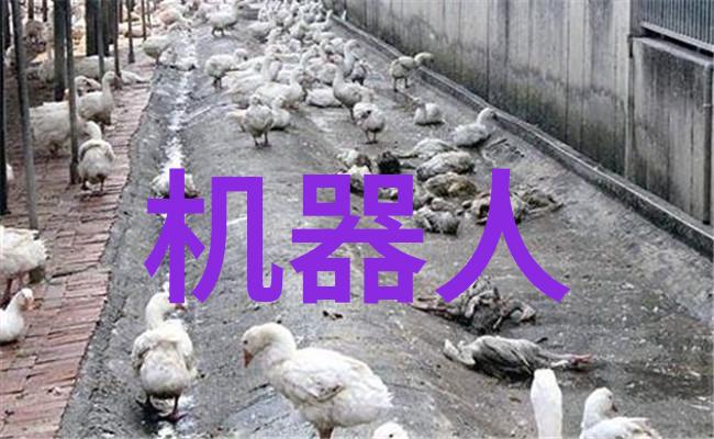 家中办公室的变革如何巧妙利用空间让在家创业更高效