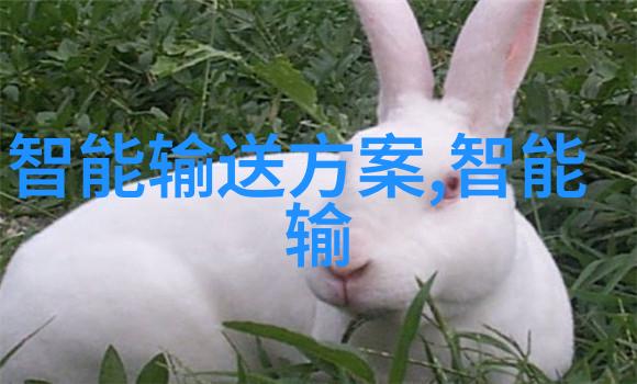 山东财经大学燕山学院-探索金色年代记忆与成长的篇章