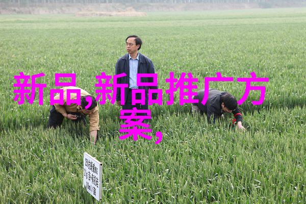 离心风机型号及参数大全高效能空气流动解决方案