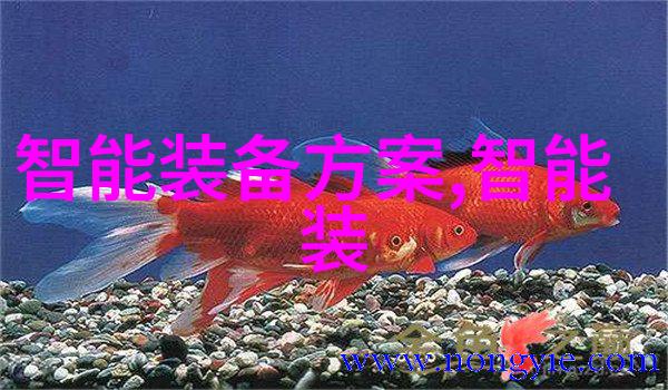 探索SEH安全异常处理的深度解析