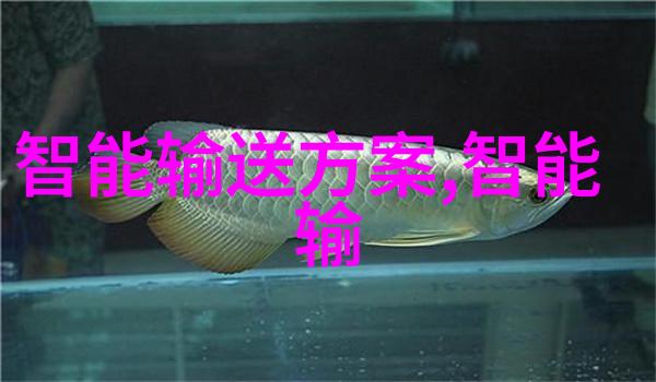 日本由利扫地机器人新锐品牌在天猫的助推下2020年销售额早已突破亿元大关就像一位勤劳的学子在安徽职业