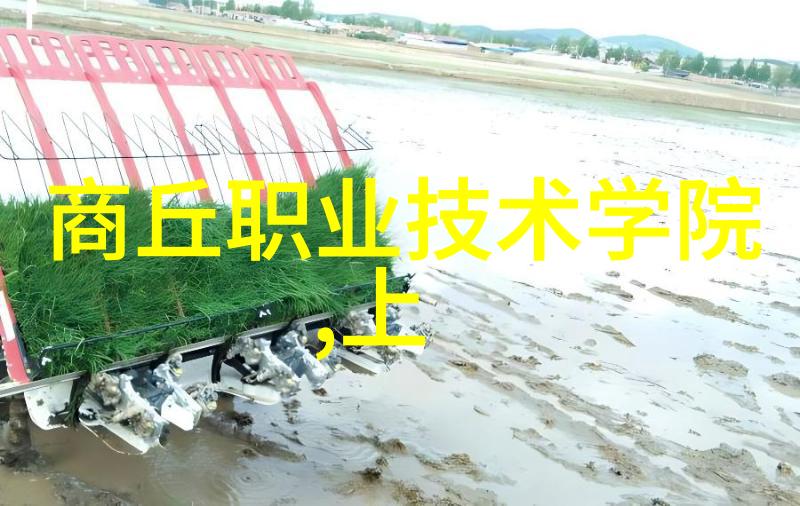 绮丽长安解读居无竹的不解相思