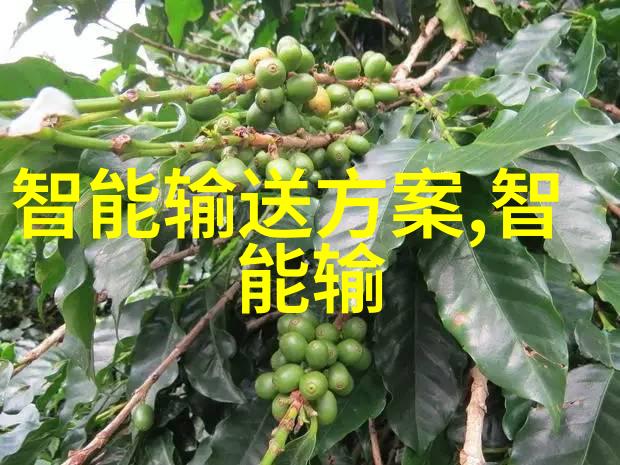 中国式洗碗机革命从创新到批发市场的升级奇迹