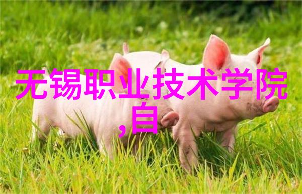 苏州大学应用技术学院高水平本科教育的学术殿堂