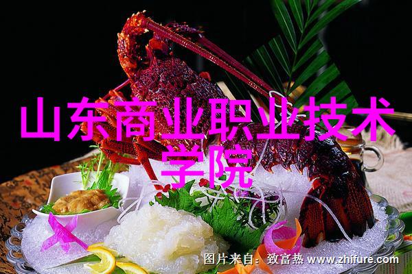机械工程-螺旋式输送机效率与精准的双刃剑