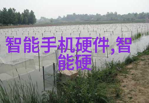 软件测试从bug杀手到代码侦探的奇妙征程