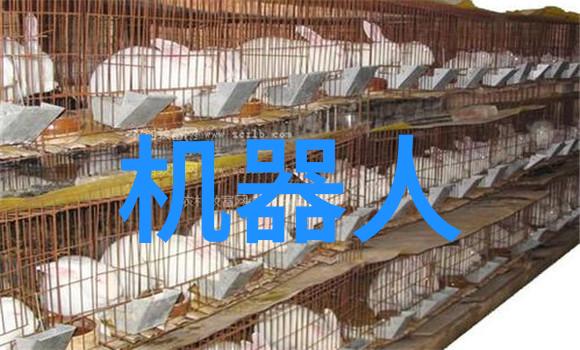 恒温恒湿我是如何在家中创造完美的舒适环境
