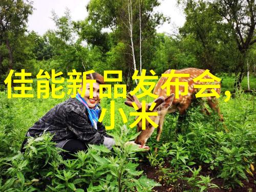 皮带输送机的疯狂日记从工厂到办公室我的不懈努力与无尽滑翔