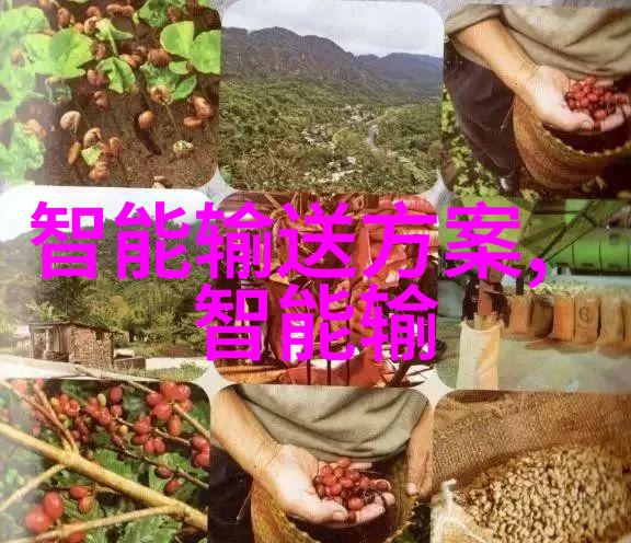 金属环的守护者dn50的秘密矩鞍填料