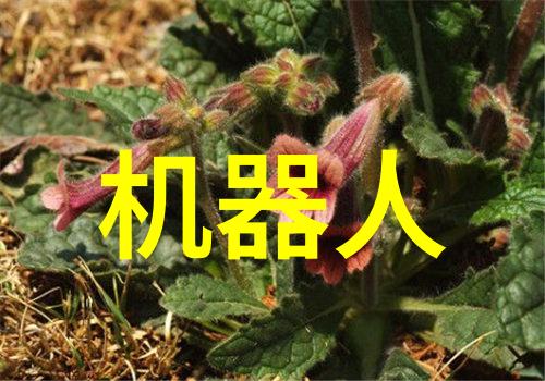 化学工艺中的切割技术革新