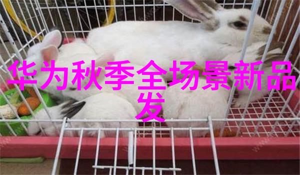 智能化企业如何打造高效协作的团队文化