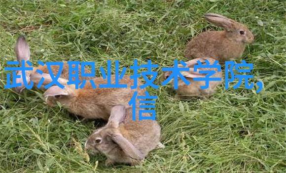 海洋蓝图解读现代科技为何能帮助我们更精确地分析海洋水质变化