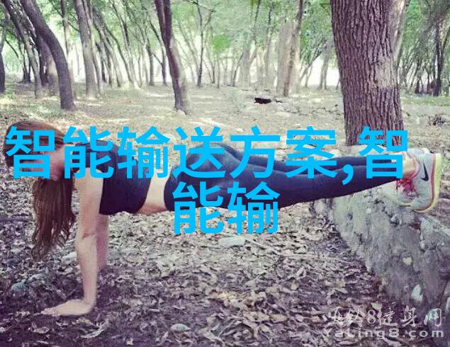 诺基亚新品发布会我亲眼见证了智能手机行业的又一革命诺基亚的回归之旅