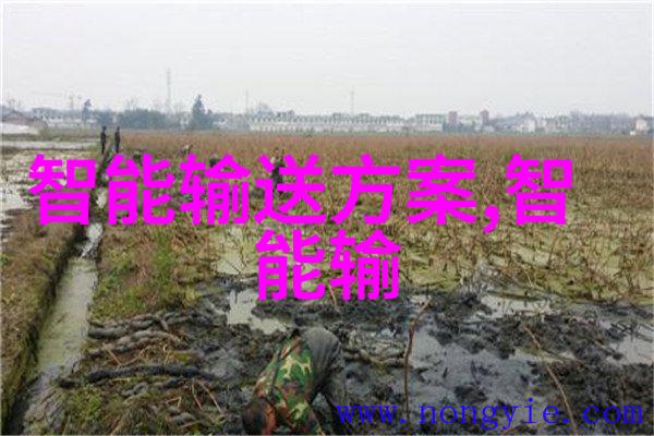清洁源自智慧水处理公司的创新技术与环保实践