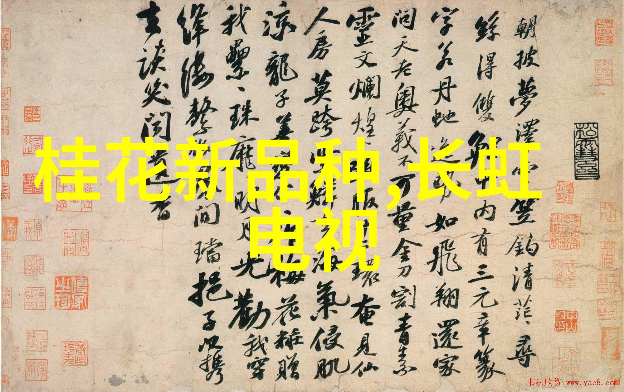不锈钢深加工-精密铸造与表面处理技术的融合之美