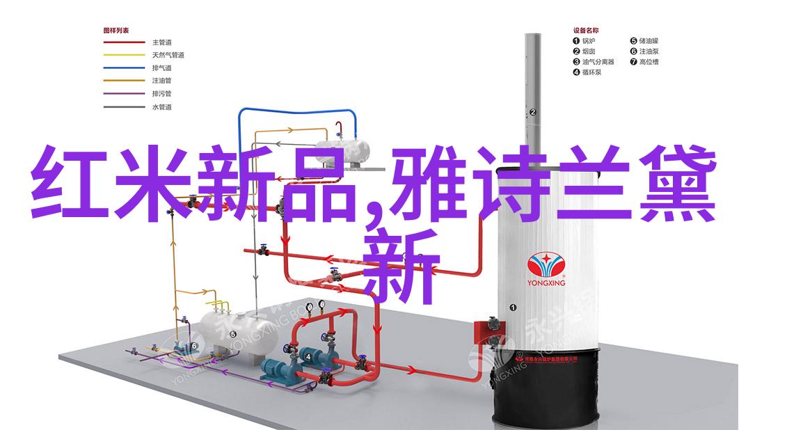 海外版厨房激战的新篇章探秘国际美食界的对决
