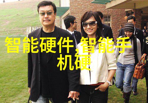 什么是最适合中国市场的交通智能体技术