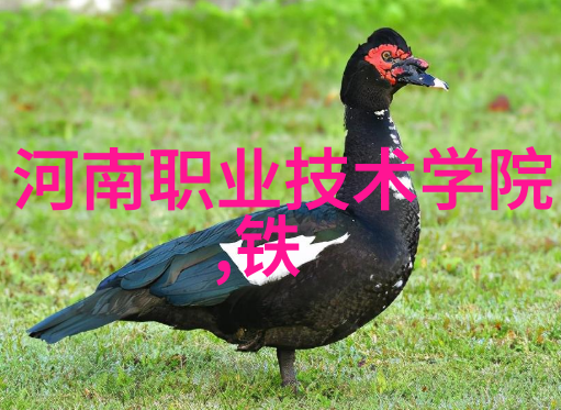 高清HDPE排水管材与配件图片库完美解决生活污水排放问题的智能视觉指南