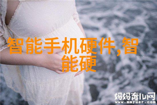 清新呼吸的守护者臭氧发生器厂家与空气净化之道
