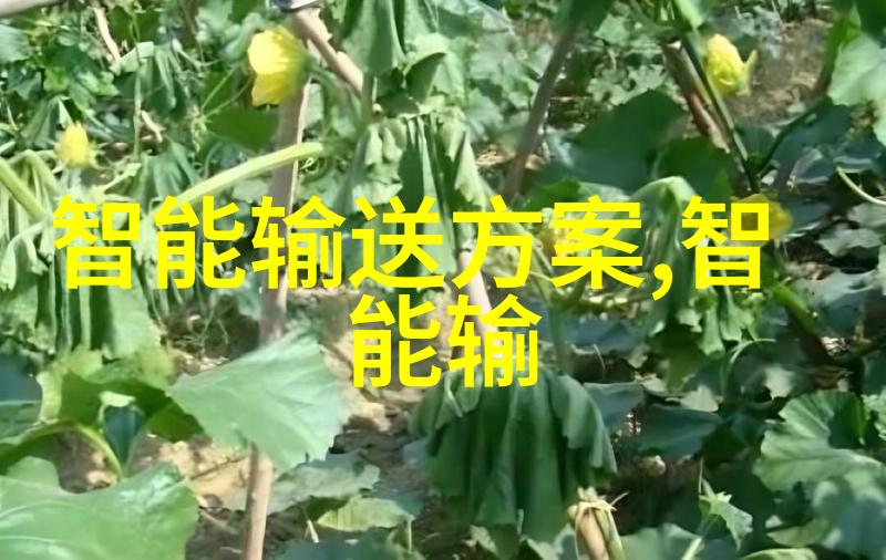 PE100级聚乙烯管材高性能管材的选择之选