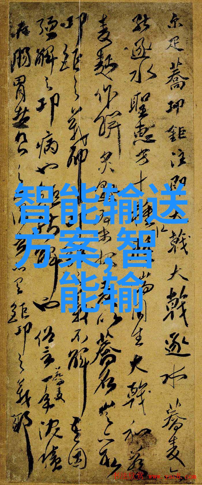 公司测评之轮入职前行的迷雾与机遇