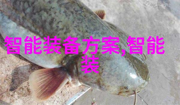 腐朽的秘密防腐材料背后的阴谋