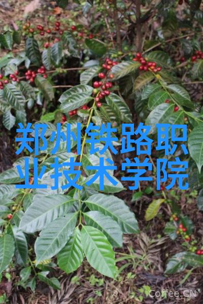水质检测标准一二三四五类水质质量控制指南