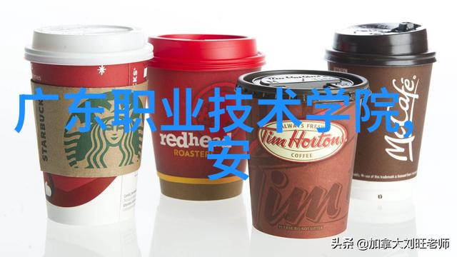 西南财经大学的未来之谜如何继续保持其在金融教育领域的领先地位