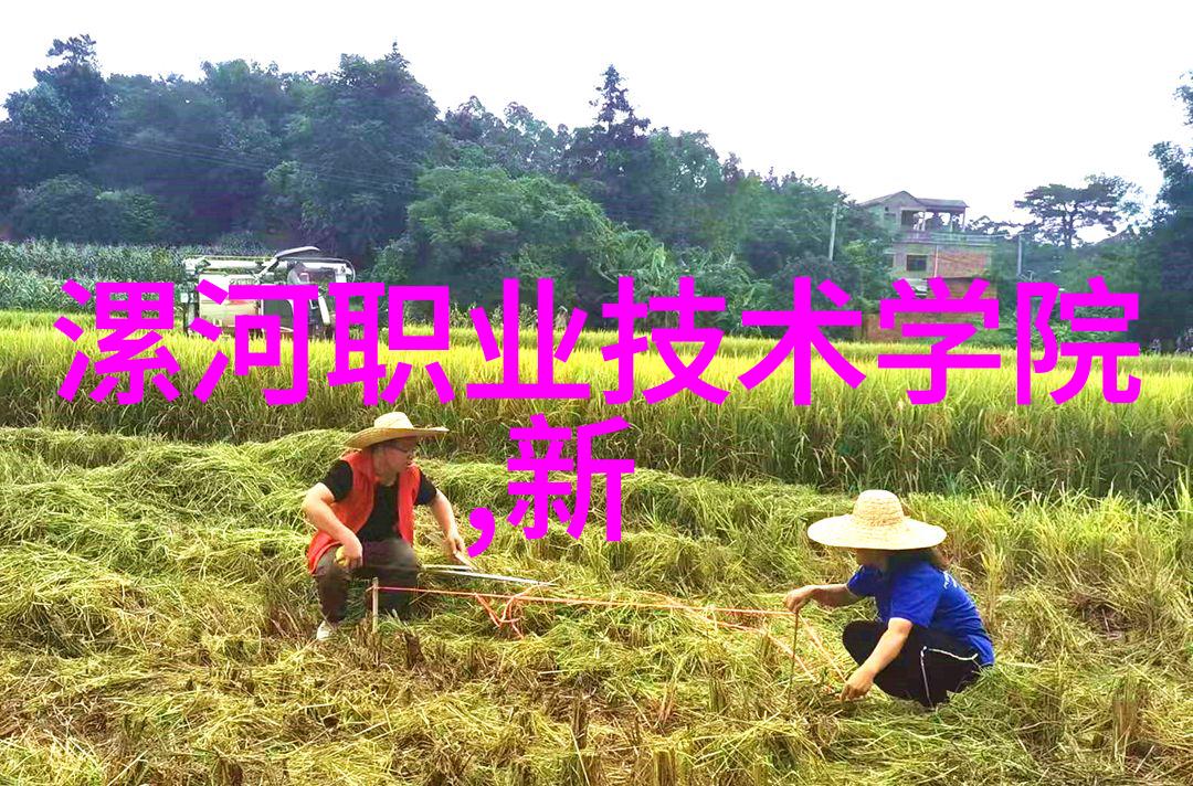 电子科技大学陈建文大数据如同无尽宝库而现实世界只是一本一本的简易账簿记录着微小但真实的数位足迹