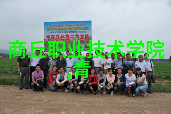 未知的煤泥干燥之谜揭开高分子聚合物单锥螺带真空干燥机的面纱