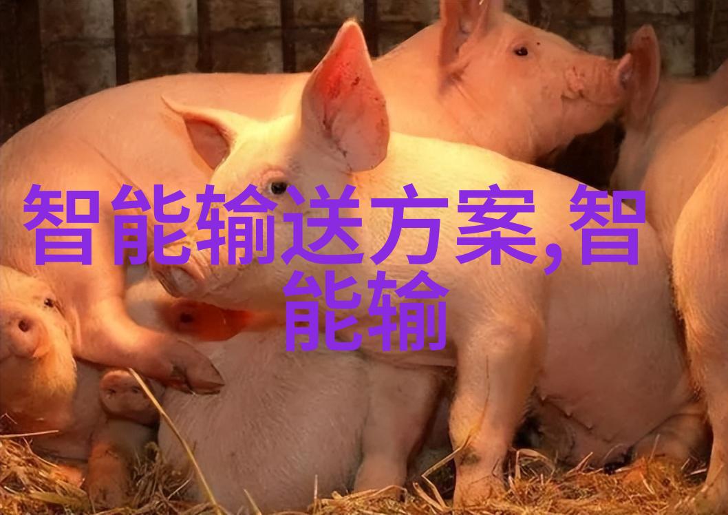 挖掘机配件-高效运营的关键挖掘机配件选型与维护策略