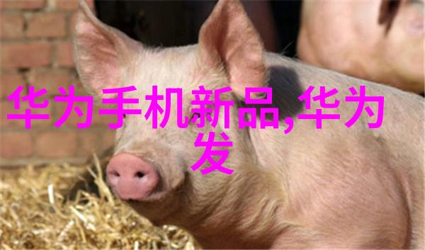 金融风云之智能化变革算法的财富舞台