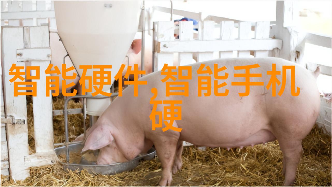 部队士官述职报告荣誉与责任的交汇点