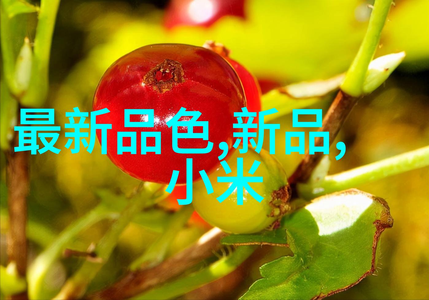 机型纪元分选之舞