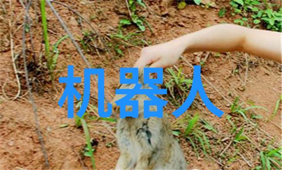智能化资讯轻触未来iPhone Air概念图展现极致薄身魅力