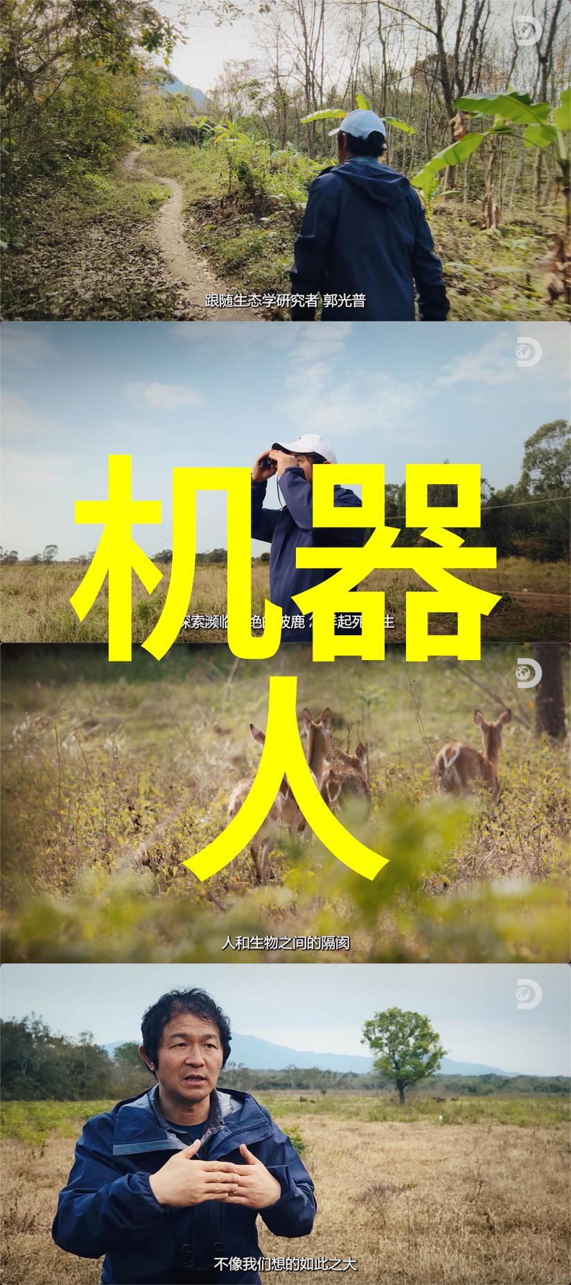 社交责任与市场机制企业是否应该追求利润还是社会福祉