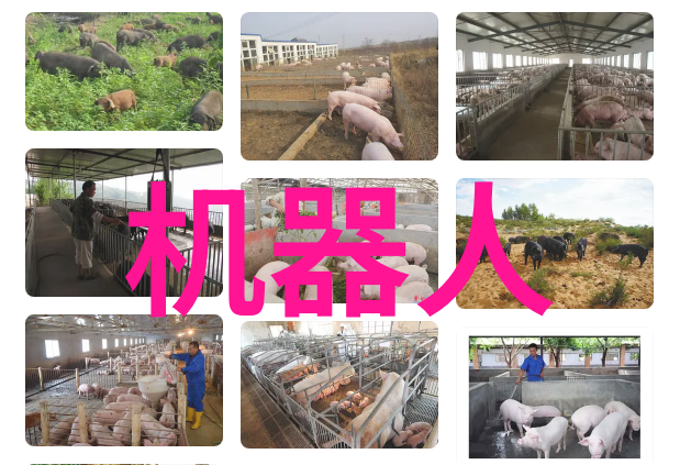 西南财经的秘密实验室背后的阴谋与未解之谜
