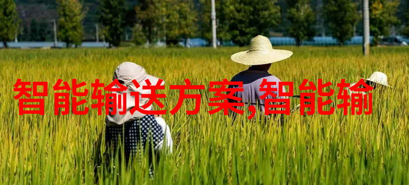 集成ic芯片的精确控制微型电子设备中的核心组件